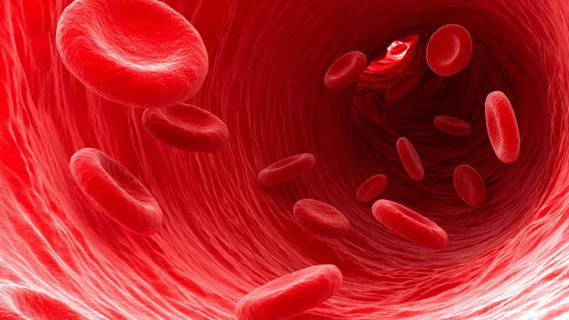 Anemia – Gejala dan Tips Pencegahan dari PAFI Tomohon